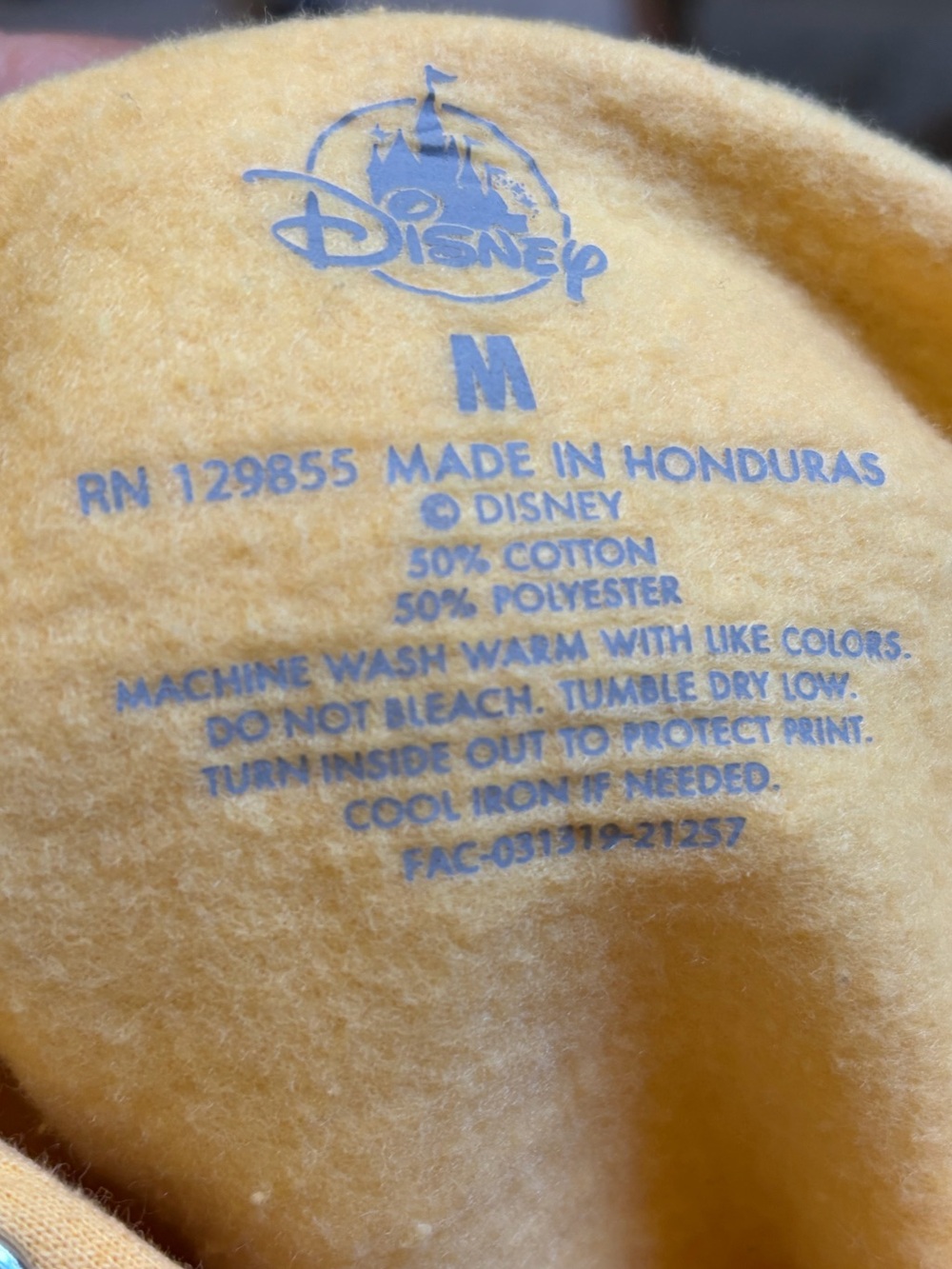 Disneyland Resort Hoodie - Picture 5 of 5